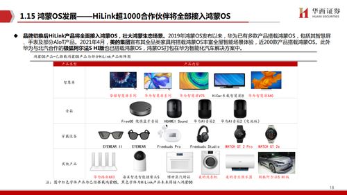 鸿蒙出鞘，剑指生态 华西证券视角下的计算机软件研发新纪元
