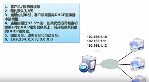 全国软考中级软件设计师学习笔记 计算机网络在软件研发中的应用